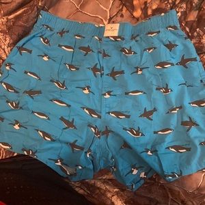 Blue short America eagle shorts